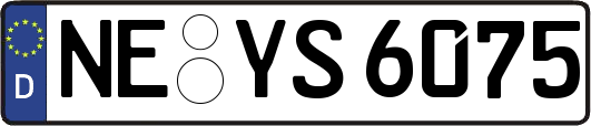 NE-YS6075