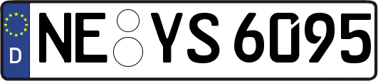 NE-YS6095