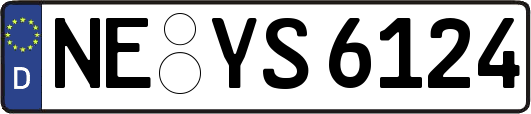 NE-YS6124
