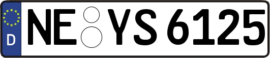 NE-YS6125