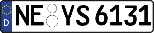 NE-YS6131