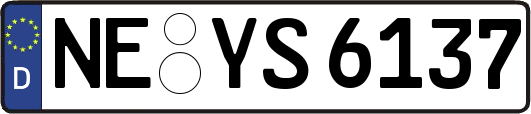 NE-YS6137