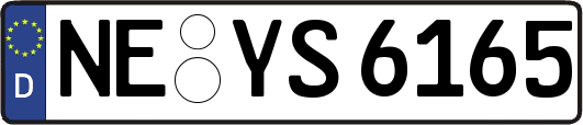 NE-YS6165