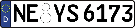 NE-YS6173