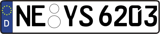 NE-YS6203
