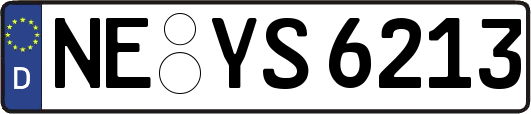 NE-YS6213
