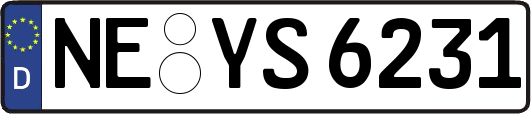 NE-YS6231