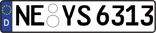 NE-YS6313