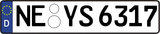 NE-YS6317