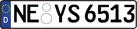 NE-YS6513