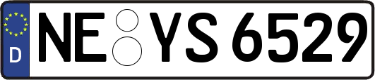 NE-YS6529