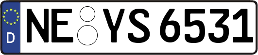 NE-YS6531