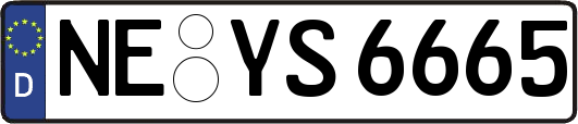 NE-YS6665
