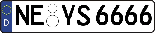NE-YS6666