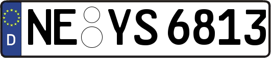 NE-YS6813