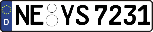 NE-YS7231