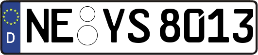 NE-YS8013