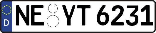 NE-YT6231