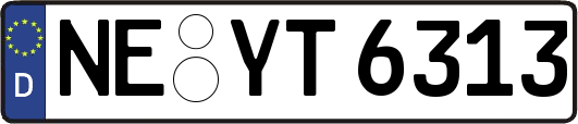NE-YT6313