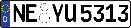 NE-YU5313