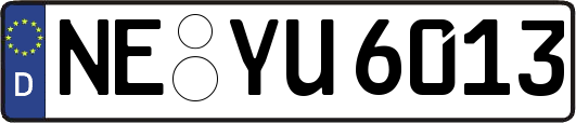 NE-YU6013
