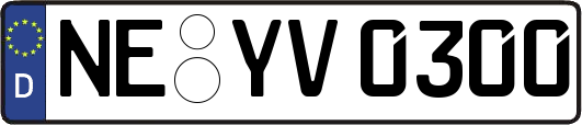 NE-YV0300