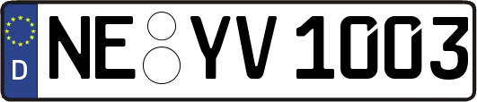NE-YV1003