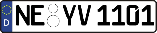 NE-YV1101