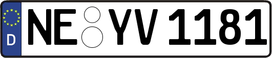 NE-YV1181