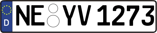 NE-YV1273