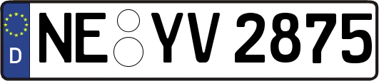 NE-YV2875