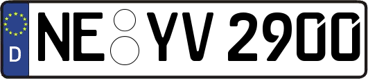 NE-YV2900