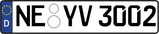 NE-YV3002