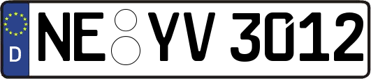 NE-YV3012