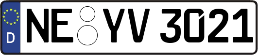 NE-YV3021