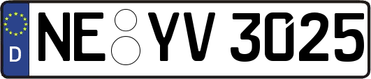 NE-YV3025