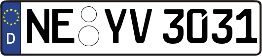 NE-YV3031