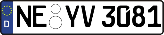 NE-YV3081