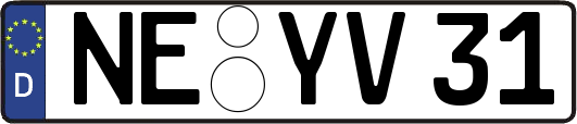NE-YV31