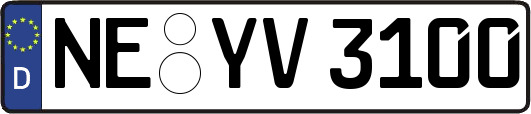 NE-YV3100