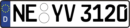 NE-YV3120