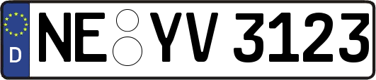 NE-YV3123