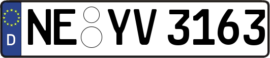 NE-YV3163