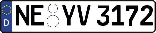 NE-YV3172