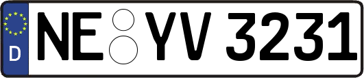 NE-YV3231