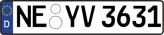 NE-YV3631