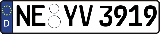 NE-YV3919