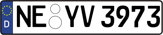 NE-YV3973