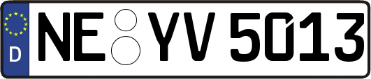 NE-YV5013
