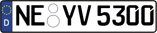 NE-YV5300
